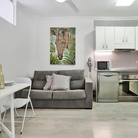 Little Gem, Panoramic Balcony, Con Air, Pool, Wifi Apartment Chayofa